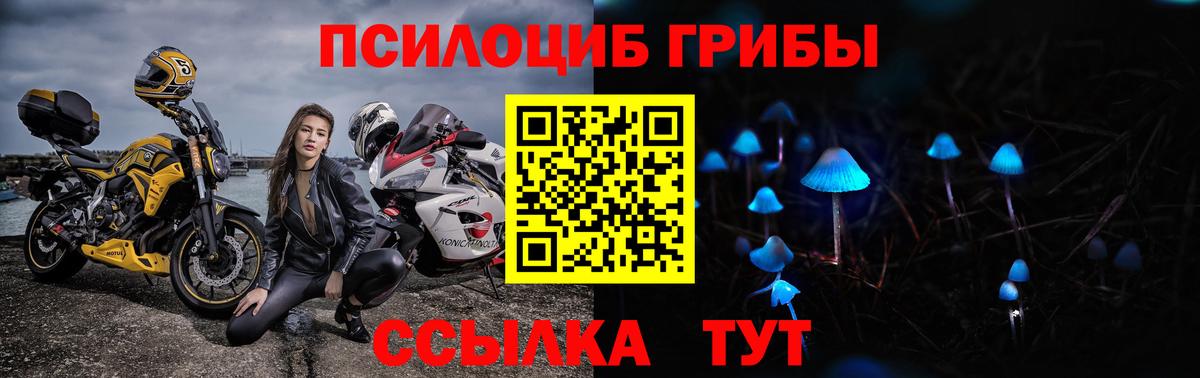 Галлюциногенные грибы Magic Shrooms  Вход с VPN  Каменка 